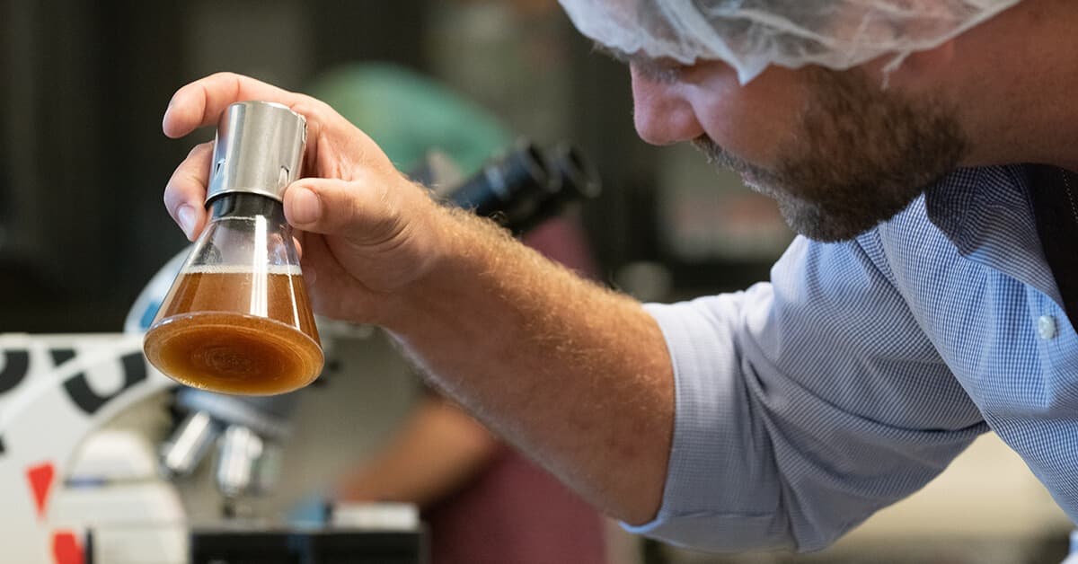 A yeast expert inspects a yeast product.